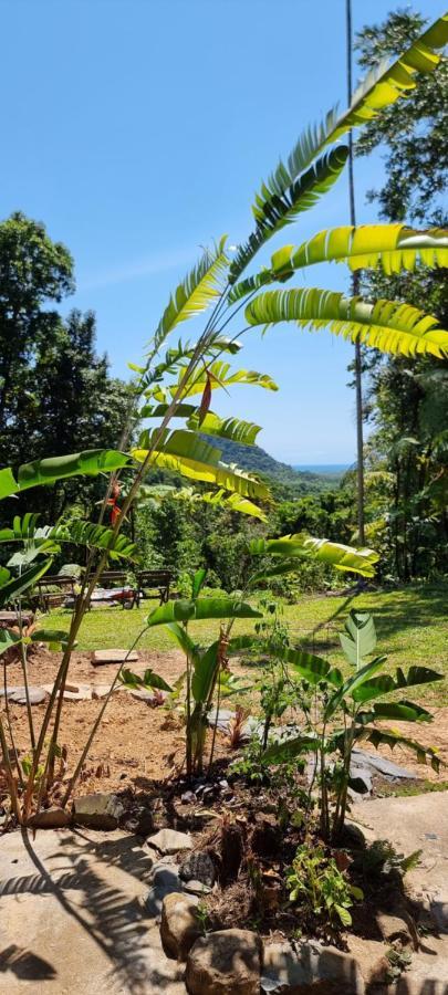 فيلا Eden Escape Diwan المظهر الخارجي الصورة